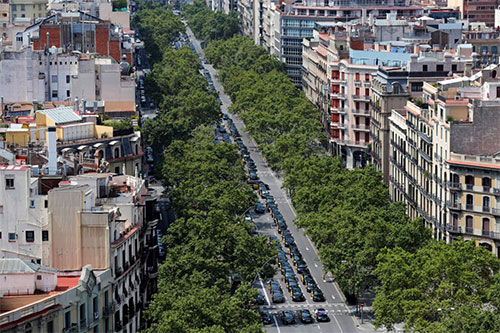 La huelga de taxistas paraliza grandes ciudades de España